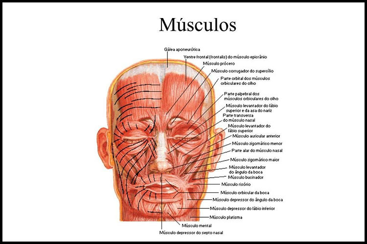 quinta-sessao-clinica-2015